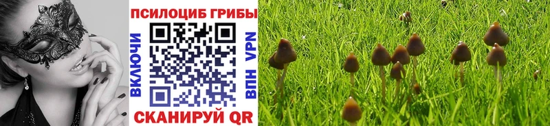 Псилоцибиновые грибы прущие грибы  Купить  Спасск 